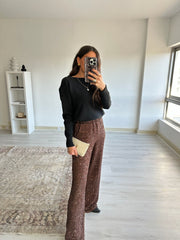 Shiny Brown Pants