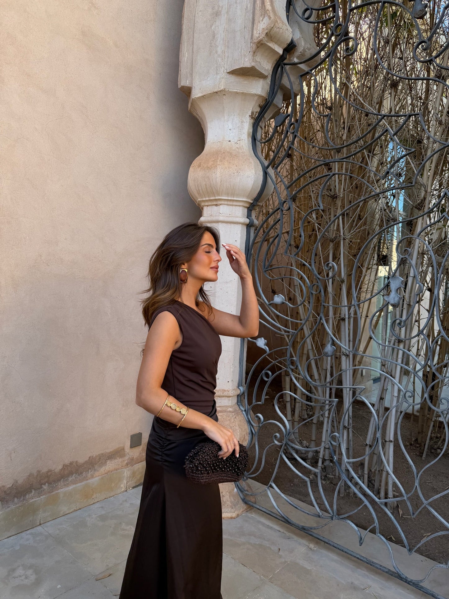 Amira Dress in Brown