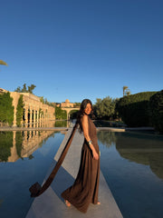 Paloma Dress in Brown