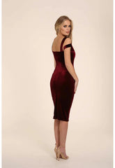 Honor Gold Evie Berry Velvet Midi Dress