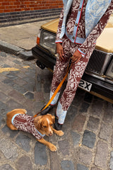 Chocolate Bandana Dog Jumper