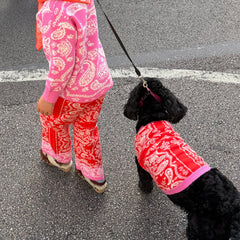 Red and Pink Bandana Dog Jumper
