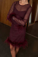 Wine Mesh Feather Mini Dress