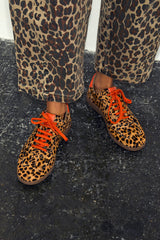 Leopard Pony Trainer