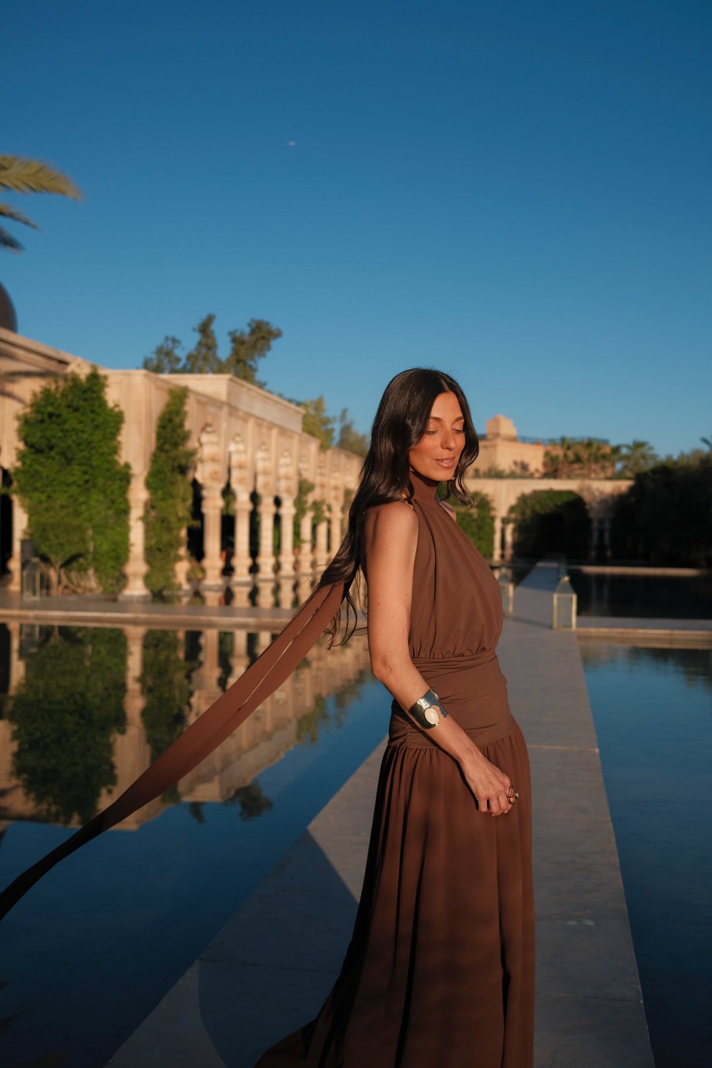 Paloma Dress in Brown