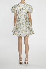 True Decadence Claire Blue Flower Skater Dress