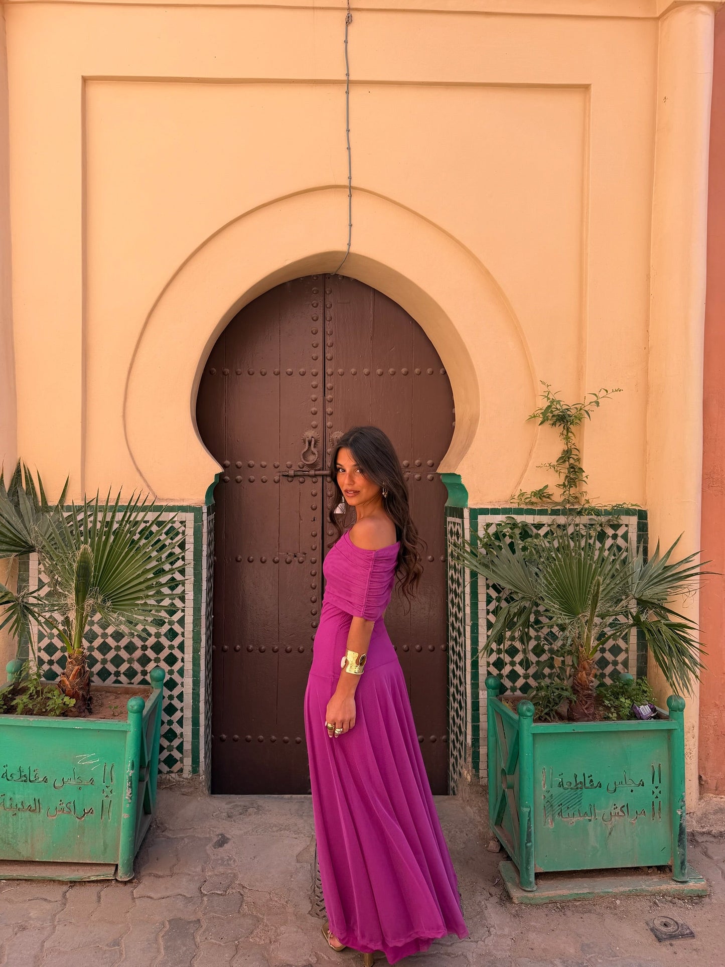 Toledo Dress in Fuxia - Shipping 27/04 to 30/04