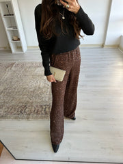 Shiny Brown Pants