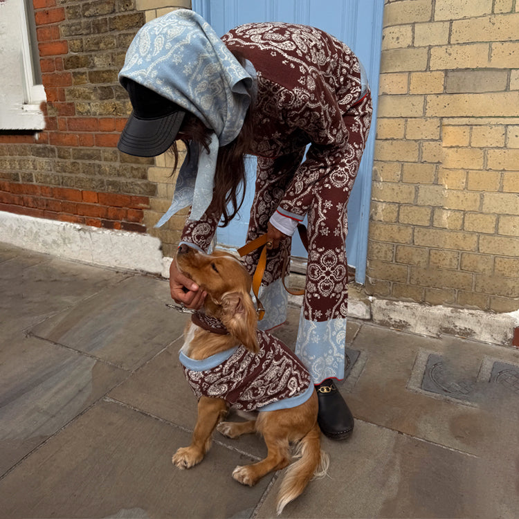 Chocolate Bandana Dog Jumper