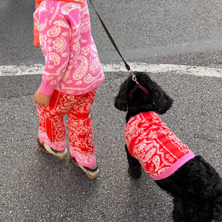 Red and Pink Bandana Dog Jumper