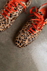 Leopard Pony Trainer