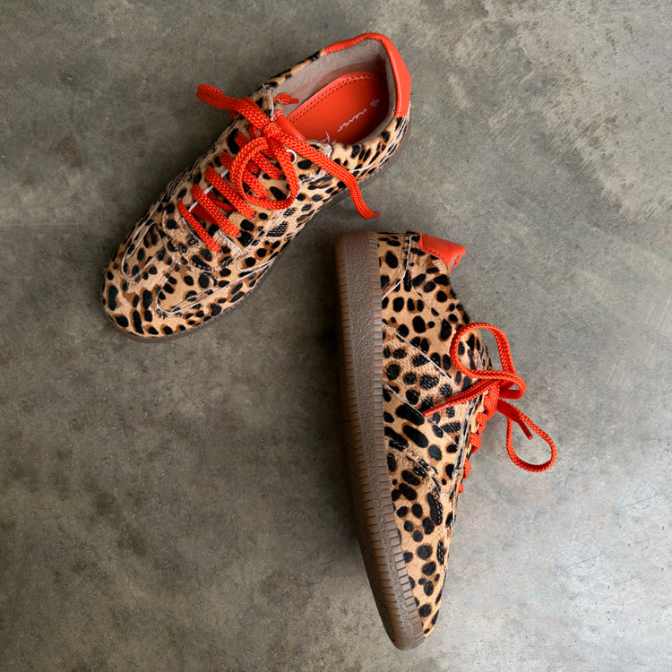 Leopard Pony Trainer