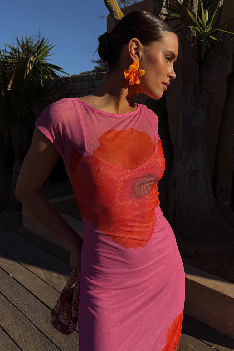 Pink Poppy Sleeveless Mesh Dress